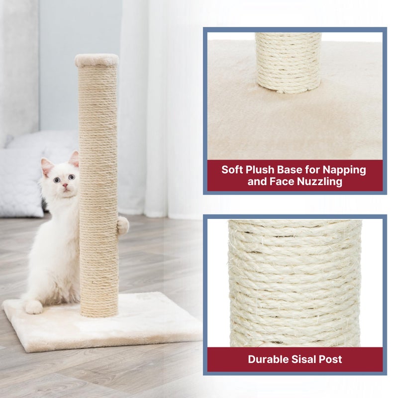 Trixie Parla Cat Scratching Post 24.4 Inch - Cat Scratcher with Soft Fabric Covering Base and Durable Sisal Rope - in Beige - Image 4